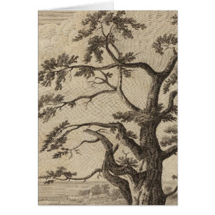 Matavia Bay, Otaheite, Tahiti