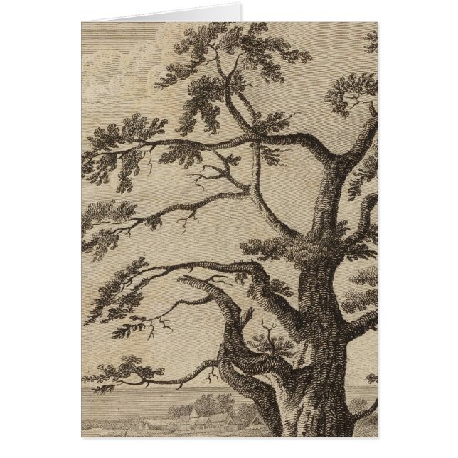 Matavia Bay, Otaheite, Tahiti (Voorkant)