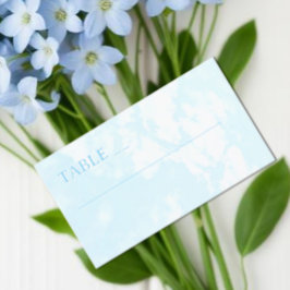 Match Made In Heaven Wedding Plaatskaartje