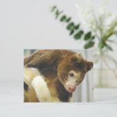 Matchies Tree Kangaroo Briefkaart (Staand voorkant)