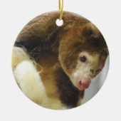 Matchies Tree Kangaroo Ornament (Voorkant)
