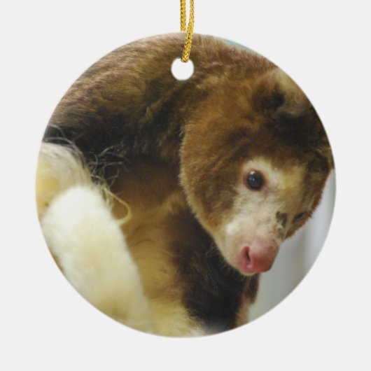 Matchies Tree Kangaroo Ornament (Voorkant)