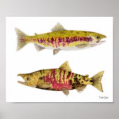 Mated Pair of Chum Salmon Poster (Voorkant)