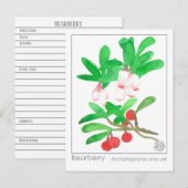 Materia Medica Herbal Study Kaart Bearberry (Voorkant / Achterkant)