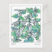Materia Medica Mint Tea Plant Herbal Studie Kaart (Voorkant)