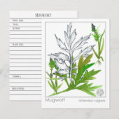 Materia Medica Mugwort Medicinal Herb Study Kaart (Voorkant / Achterkant)