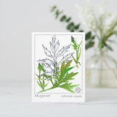 Materia Medica Mugwort Medicinal Herb Study Kaart (Staand voorkant)
