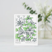 Materia Medica peterselie Spice Herbal Study Kaart (Staand voorkant)