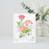 Materia Medica Roos Bloem Plant Kruiden Studie Kaa Briefkaart (Staand voorkant)
