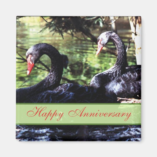 Mates for Life Black Swans Jubileum Magnet (Voorkant)