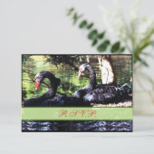 Mates for Life Black Swans Reply Kaart (Staand voorkant)