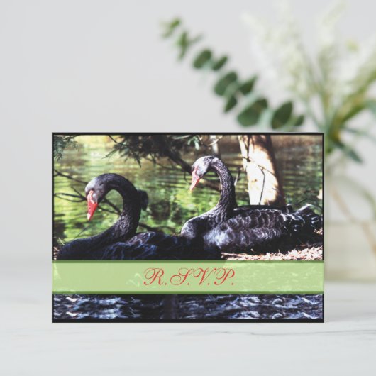 Mates for Life Black Swans Reply Kaart (Staand voorkant)