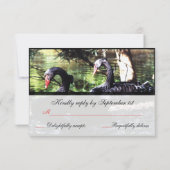 Mates for Life Black Swans Reply Kaart (Achterkant)