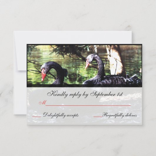 Mates for Life Black Swans Reply Kaart (Achterkant)