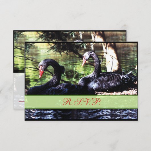 Mates for Life Black Swans Reply Kaart (Voorkant / Achterkant)