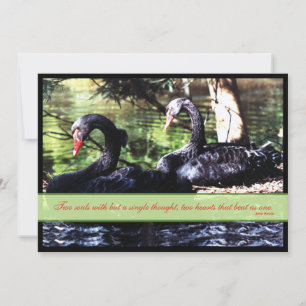 Mates for Life Black Swans Wedding Invitation Kaart