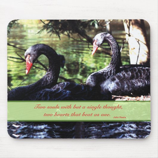 Mates for Life Black Swans with Love Quote Muismat (Voorkant)