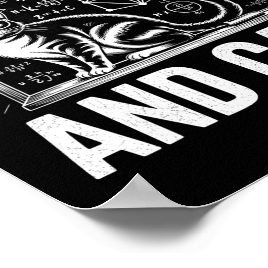 Math Cat Lover Funny Math Teacher I Love Math And  Poster (Hoek)