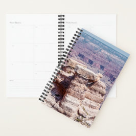 Mather Point Planner