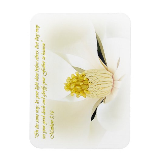 Mathew 5:16 Inspirerend Magneet (Verticaal)