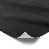 Mathew Brady / Thaddeus Stevens / Poster (Hoek)