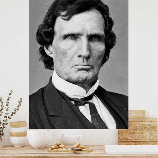 Mathew Brady / Thaddeus Stevens / Poster (Keuken)
