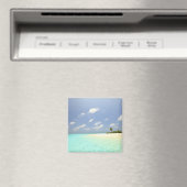 Mathidhoo-eiland, onbewoond, North Huvadhoo 3 Magneet (Insitu (Vaatwasser))