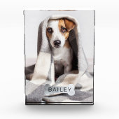 Matig minimaal PET-folie Silver Dog Bone Fotoblokken (Voorkant)