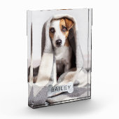 Matig minimaal PET-folie Silver Dog Bone Fotoblokken (Links)
