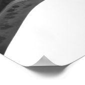 Matig witte haaienhaai poster (Hoek)