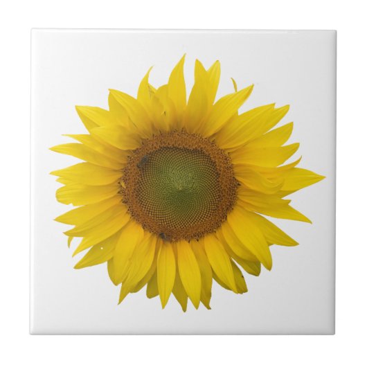 Matig Zonnebloem Eenvoudig Rustisch Tegeltje (Voorkant)