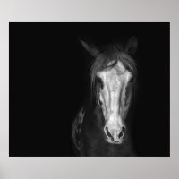 Matig zwart-wit paard dramatisch