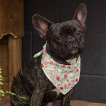 Matige waterverf florale botanicum