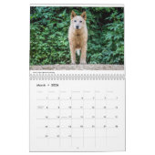 Matilda en de World 2019 Calendar Kalender (Mar 2026)