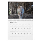 Matilda en de World 2019 Calendar Kalender (Feb 2026)