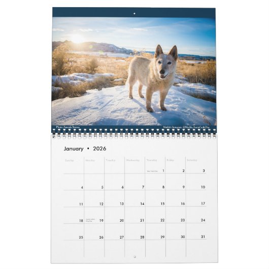 Matilda, Love en Light 2021 Kalender (Jan 2026)