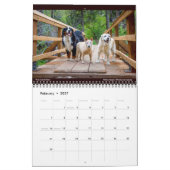 Matilda, Love en Light 2021 Kalender (Feb 2027)
