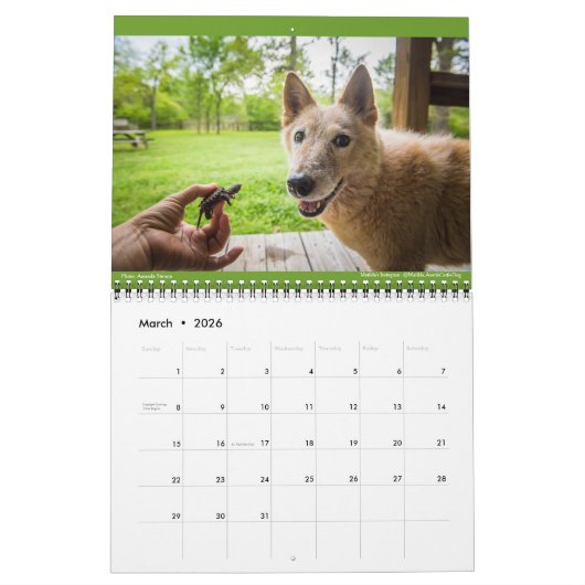 Matilda, Love en Light 2021 Kalender (Mar 2026)