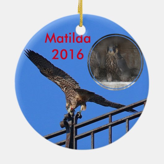 Matilda Ornament 2016 (Achterkant)