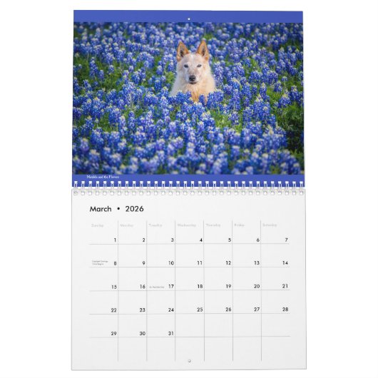 Matilda & Petunia Calendar 2026 Kalender (Mar 2026)