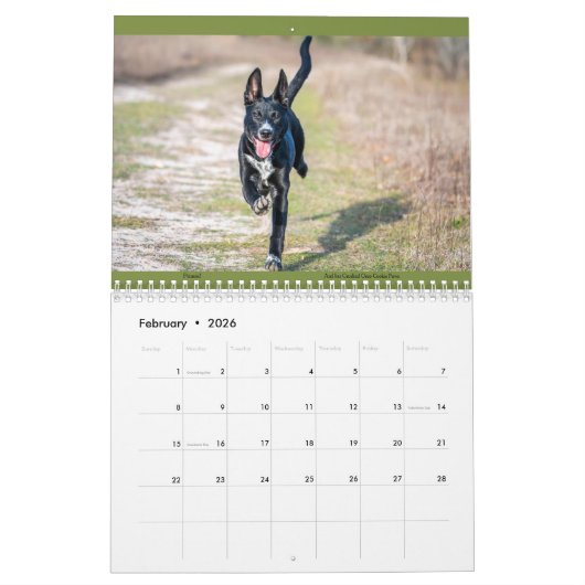 Matilda & Petunia Calendar 2026 Kalender (Feb 2026)