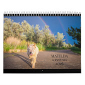 Matilda & Petunia Calendar 2026 Kalender (Hoes)