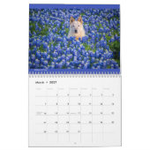 Matilda & Petunia Kalender 2026 (Mar 2027)