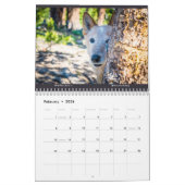 Matilda Stardust en de liefde 2025 Kalender (Feb 2026)