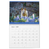 Matilda Stardust en de liefde 2025 Kalender (Mar 2027)