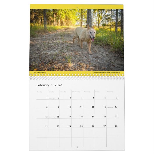 Matilda's kalender voor 2023 (Feb 2026)