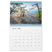 Matilda's kalender voor 2023 (Jan 2026)