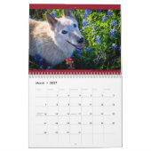 Matilda's kalender voor 2023 (Mar 2027)