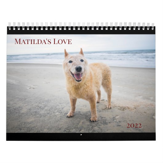 Matilda's Love 2022 Calendar Kalender (Hoes)