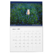 Matilda's Love 2022 Calendar Kalender (Mar 2027)